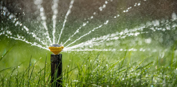 istock Sprinkler in action watering grass 956025634