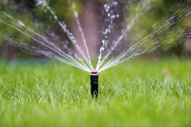 Sprinkler in action watering grass stock photo