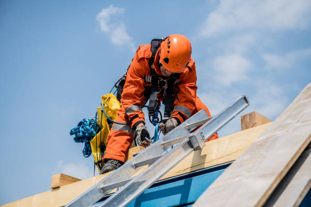 istock Firefighters in a rescue operation - accident on the roof 956027100
