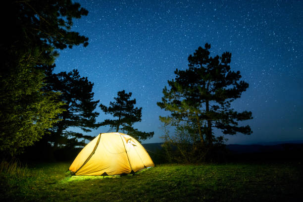 istock Glowing camping tent in the night mountain forest under a starry sky 956030122