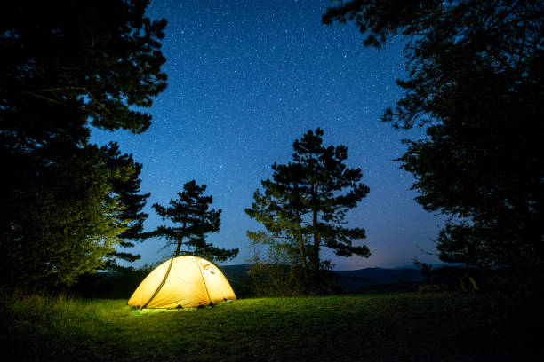 Glowing camping tent in the night mountain forest under a starry sky