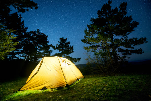 istock Glowing camping tent in the night mountain forest under a starry sky 956030136