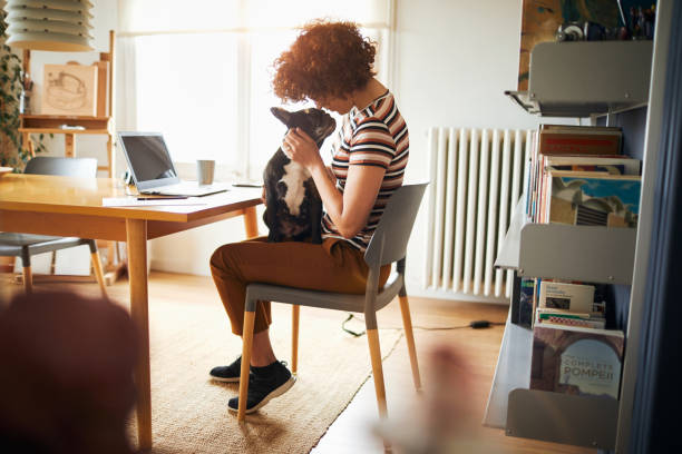 Woman working at home doing home finances. stock photo