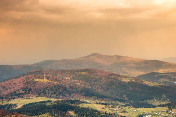 Beautiful landscape, mountains covered with forest, during a sand storm