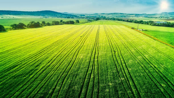 istock Aerial view over the agricultural fields 956041094