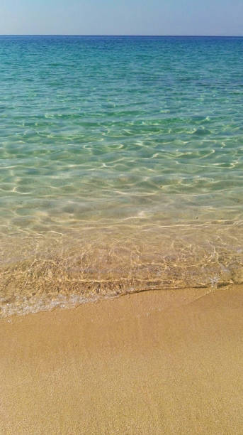 istock Sandy beach with crystalline sea 956045198