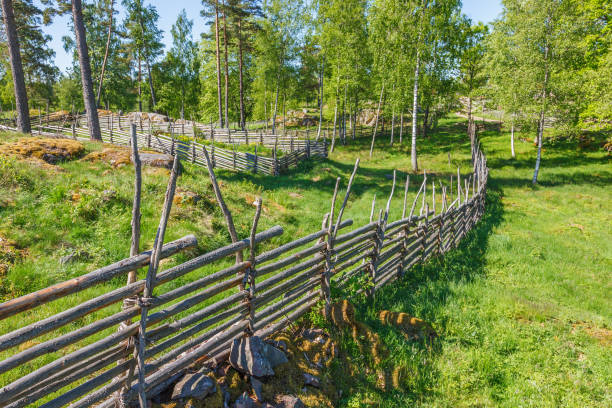 istock Wooden fence in a forest pasture 956045224