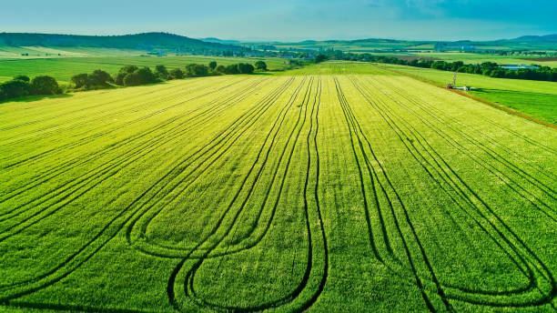 istock Aerial view over the agricultural fields 956045308