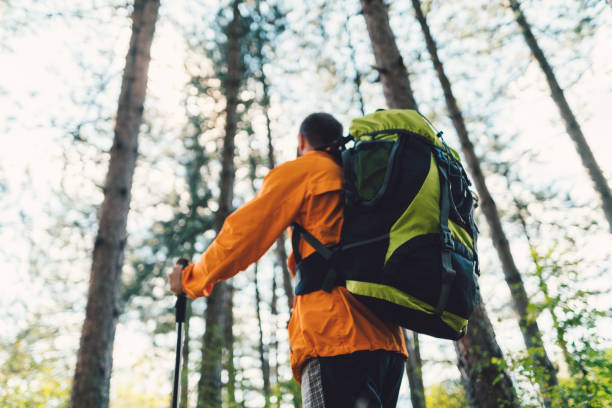 istock Tourist man hiking in the mountain 956047586