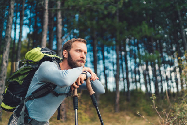 istock Hiker in the forest admiring nature 956047738