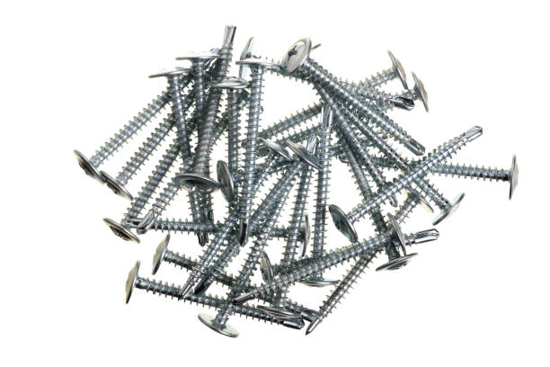 istock metal screws isolated on white background closeup. Top view 956056770