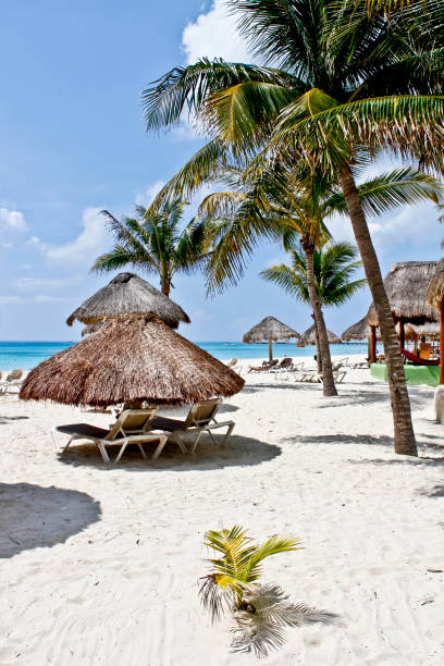 istock Mexico - Paradisiacal beaches 956056906