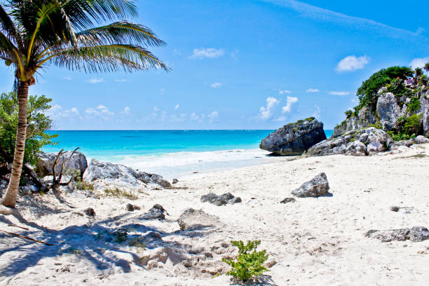 istock Mexico - Paradisiacal beaches 956059434