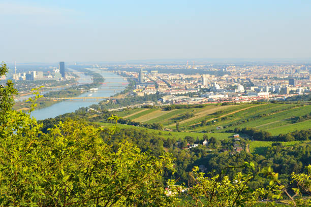 istock Top-view of Vienna, Austria 956059818
