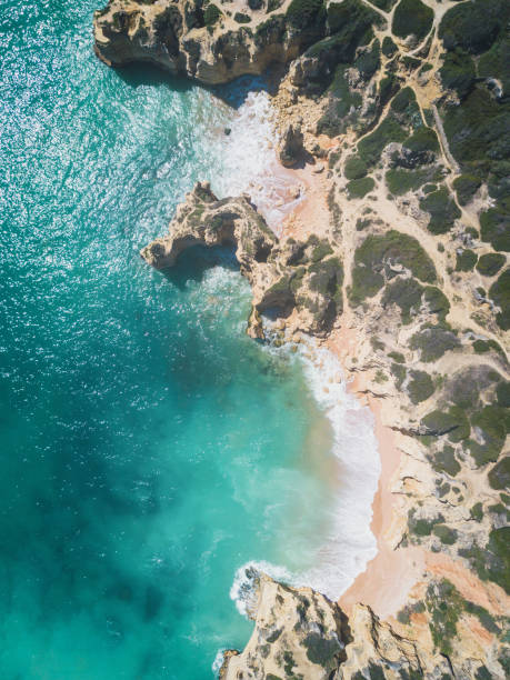 istock Overhead shot of beautiful sandy beach and ocean. 956059856