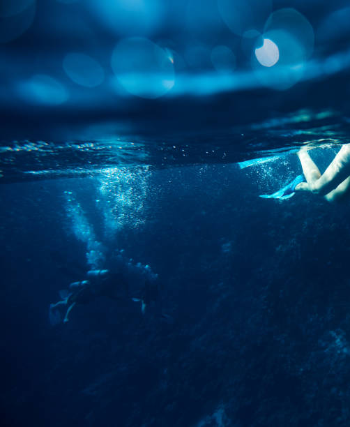 istock scuba diving and exploring the sea life 956060726
