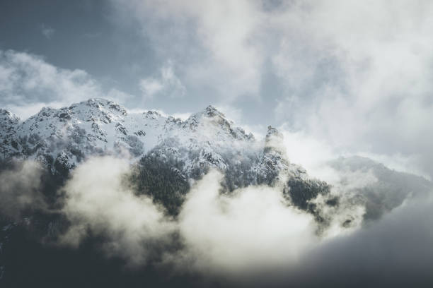 istock mountain moody landscape - springtime mood - desaturated style image 956061850