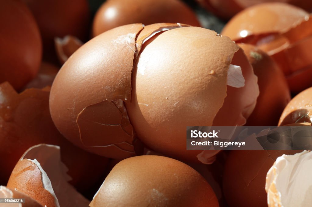 Junk Shells Crushed Egg Shells Realistic Nature Broken Damage On Easter Eggshells ...