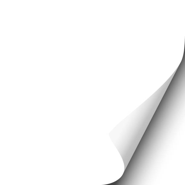 istock Page curl with shadow on blank white sheet of paper. Element for copy or ad. Vector illustration. 956062894