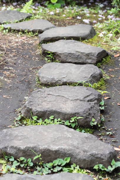 istock Stone path in Japanese garden 956063310