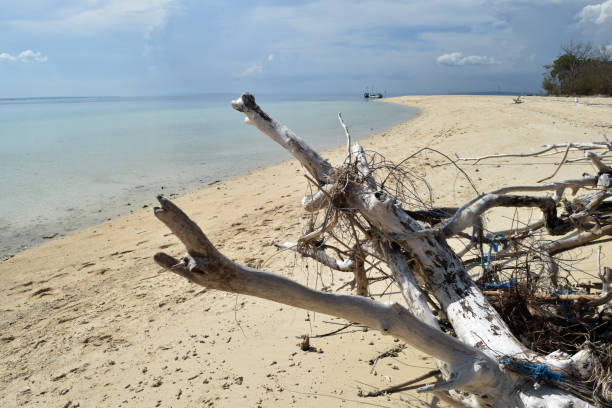 istock Gili Labak beach in Madura, Indonesia is beautiful 956066444