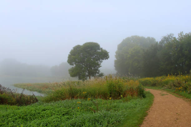 istock Beautiful summer misty morning landscape. 956068162
