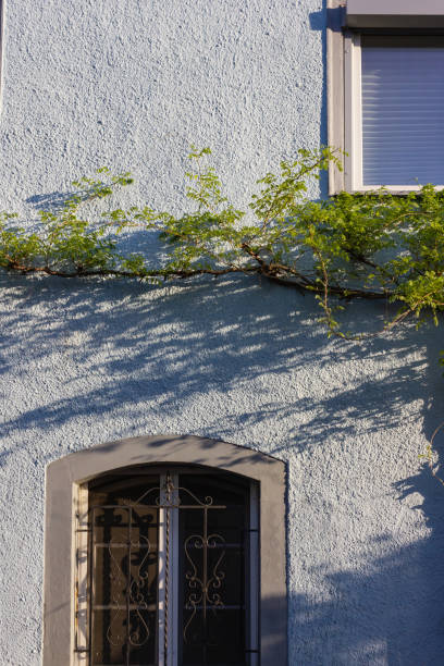 istock city facades at historical boulevard 956070054