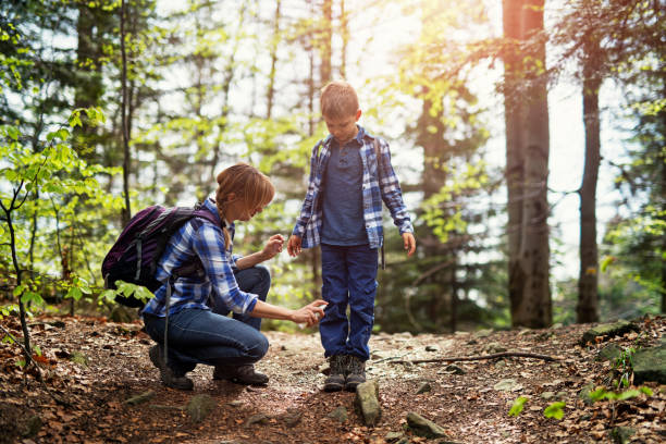 Mother applying tick repellent on son Mother and son hiking in forest. Mother is applying tick repellent on the son's legs.
Nikon D850 tick animal stock pictures, royalty-free photos & images