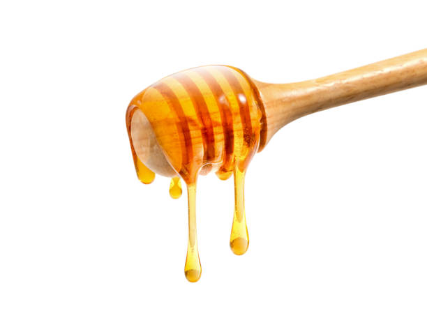 мед и мед гребень с деревянной палкой - мед стоковые фото и изображения