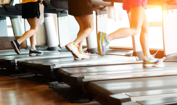 istock Unrecognizable people running on treadmills 956073024