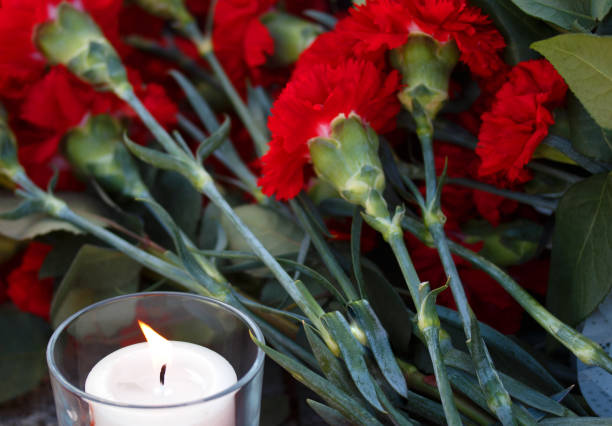 붉은 카네이션와 하얀 촛불입니다. 피해자 테러의 기억 - dianthus 뉴스 사진 이미지