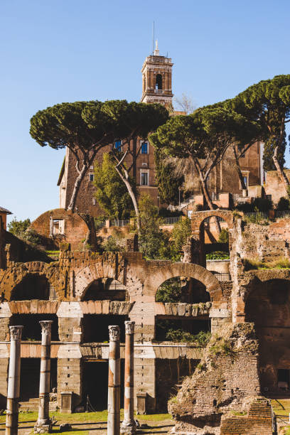 istock columns and trees at Roman Forum ruins in Rome, Italy 956077892