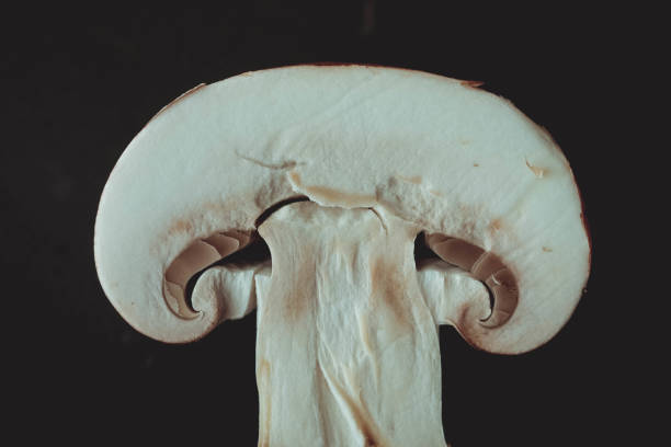 istock Mushrooms on the wood table raw materials for cooking 956078180