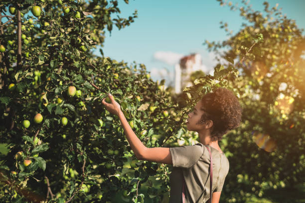 Black girl is picking up apple from tree in park