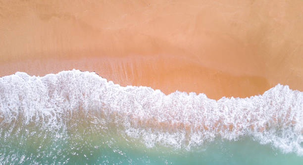 istock Aerial view of tropical sandy beach and ocean. Copy space 956081388