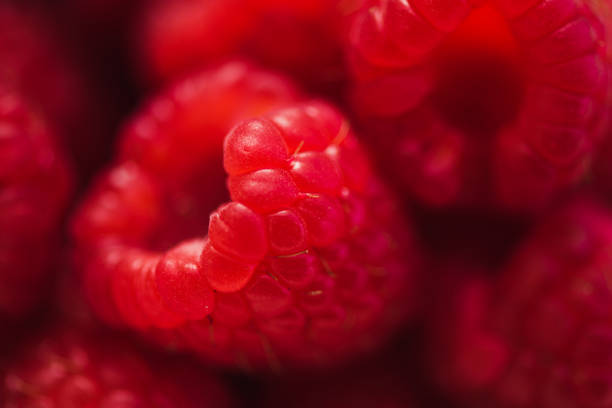 nahaufnahme von beeren himbeeren macrophoto mit blitzlicht - focus on foreground full frame macro horizontal stock-fotos und bilder