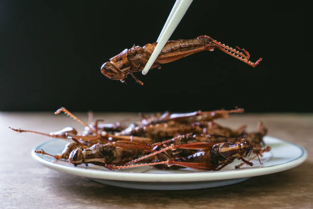 istock Fried insects in dish on wooden table with black background. selective focus 956084470