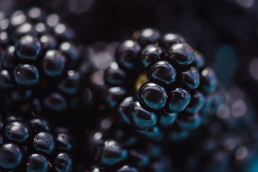 Woman holding bowl of fresh ripe blackberries on blurred natural background, closeup