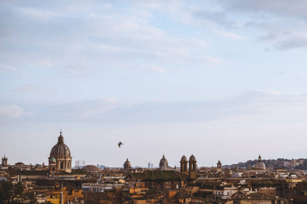 bird flying above of St Peters Basilica in Rome, Italy