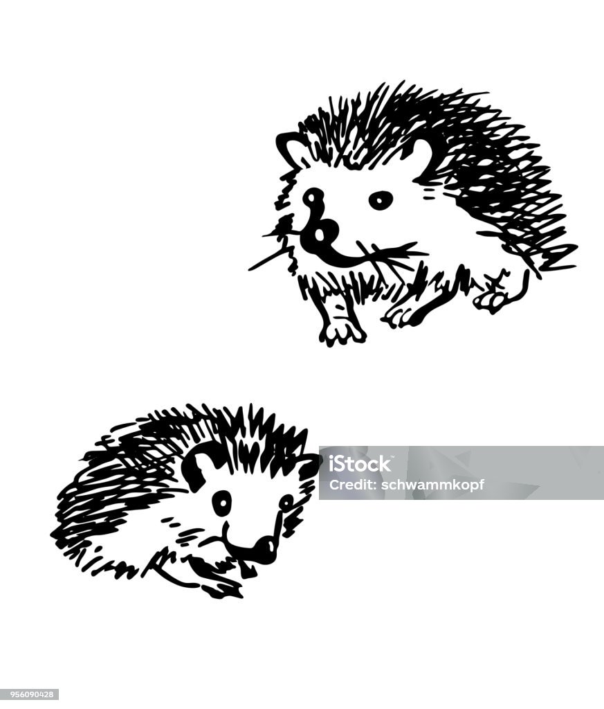Hedgehog. Stylized drawing set Line drawing. Vector illustration Hedgehog stock vector