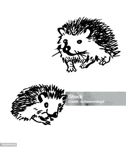 Hedgehog Stylized Drawing Set Stock Illustration - Download Image Now - Hedgehog, Sketch, Engraving