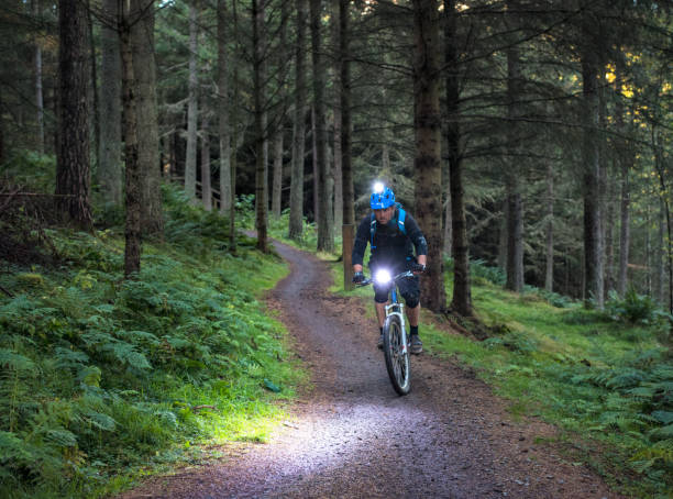 istock Forest Mountainbiking with lights at dusk 956102298