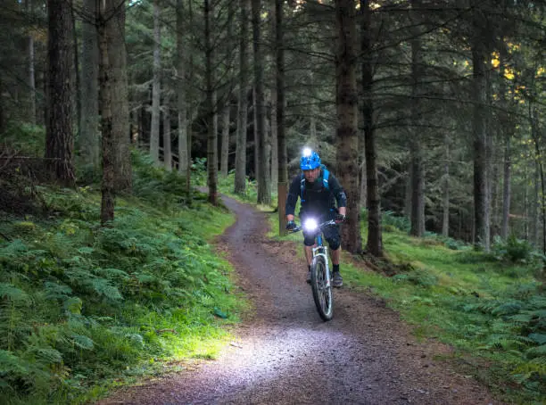 A man concentrating as he bikes along a forest mountain biking trail in Scotland at dusk.