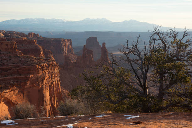istock Scenery of Canyonlands National Park 956104550