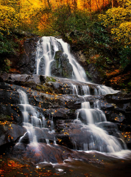 istock Waterfall in Smoky Mountain National Park 956105534