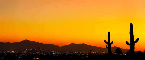 tramonto in arizona con cactus - panoramic wild west desert scenics foto e immagini stock