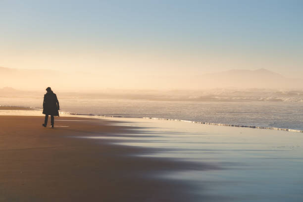 istock lonely person walking on beach at sunset 956105722