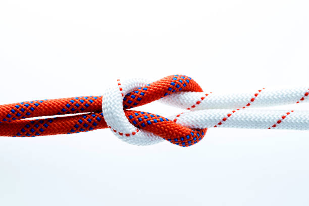 istock Rope with reef knot isolated on white background 956106254