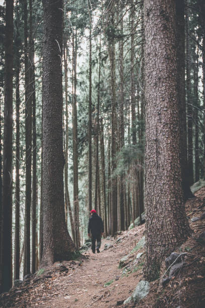 istock hiker in mountain moody landscape springtime - desaturated style image 956110374