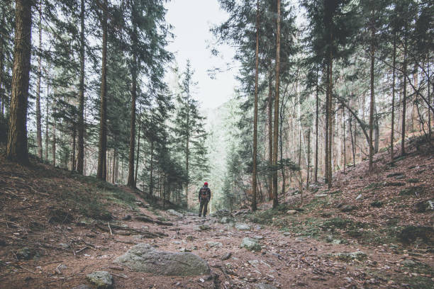 istock hiker in mountain moody landscape springtime - desaturated style image 956113712